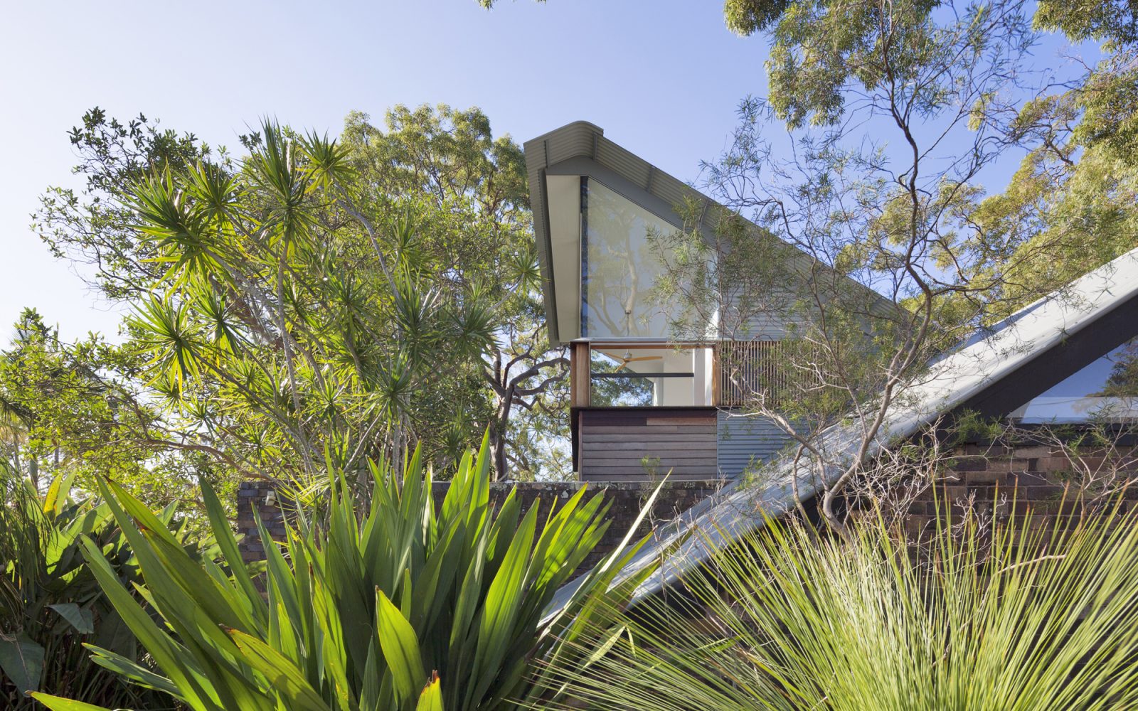 Andy Lehman Design Avalon Architecture Tree House