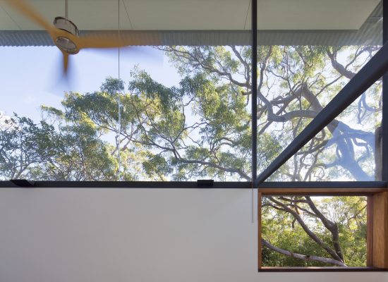 Andy Lehman Design Avalon Architecture Tree House